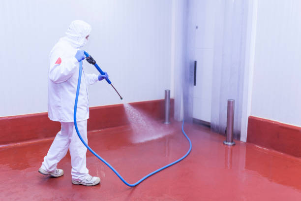 Best Window and Screen Pressure Cleaning in East Berlin, PA